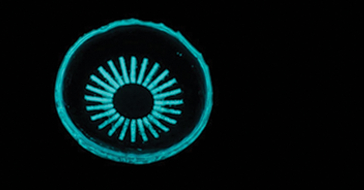 Glowing Contact Lens