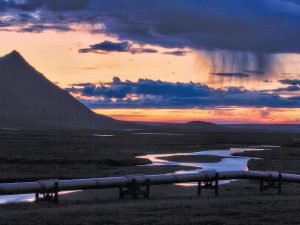 Hunting in the Arctic: A Lesson in Humility Lesson in Humility