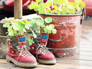 photo of the work of a venerable recycler: old red boots and pail repurposed as planters