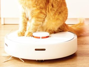 closely cropped photo of an orange tabby cat riding on a robotic vacuum cleaner