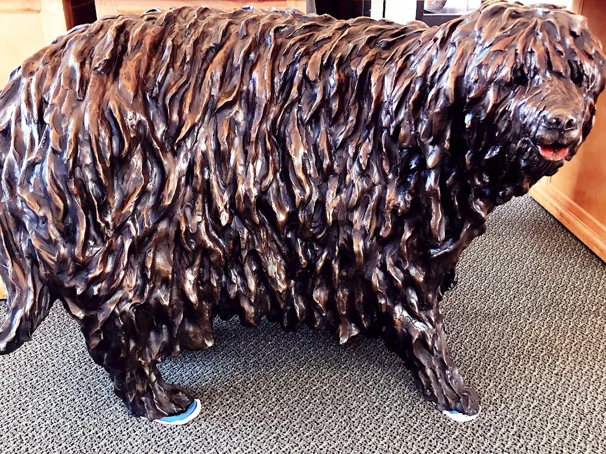 Photo of the statue of The Auditor, a stray dog that survived living stray around the Butte Mine for 17 years.