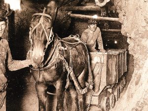 Montana Memory Project Preserves Oral Histories Mule train on the 1,100-foot level, Rarus Mine, Butte, Mont. The mule pulls an ore wagon with two unidentified miners.