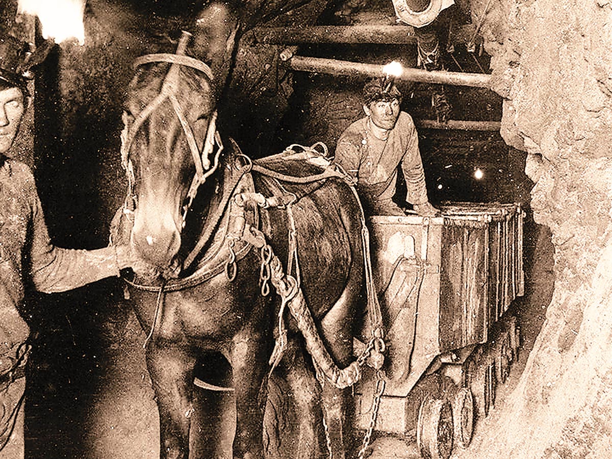 Mule train on the 1,100-foot level, Rarus Mine, Butte, Mont. The mule pulls an ore wagon with two unidentified miners.