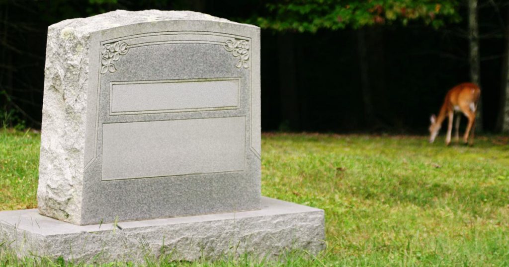 Blank headstone with a deer grazing in the background — representing unwanted burial plots