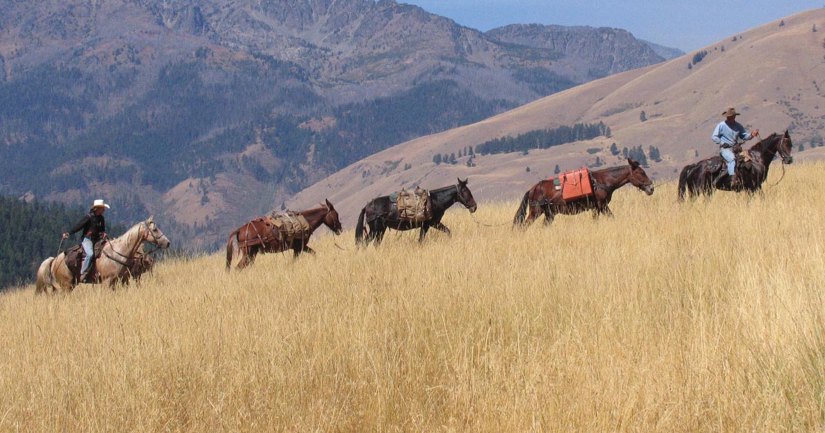 It's going to be lonely hunting without horses.Hunters with a pack of horses