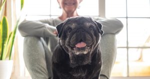 photo of a senior woman on the floor with a black dog she is pet sitting.