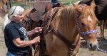 Life at Six Seconds: Iconic Woman Rodeo Champion Career