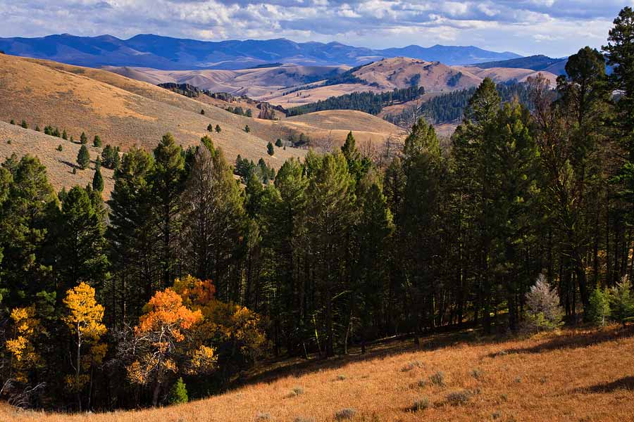 Scenic Montana Photo