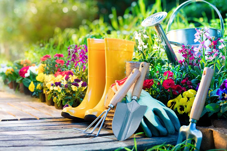 Gardening Supplies