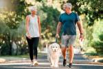 Harness the Power of Walking